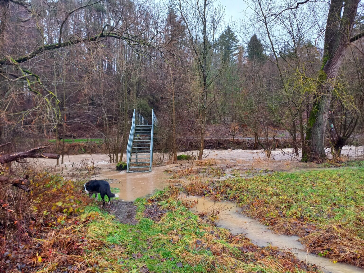 Hochwasser Im Dezember Niesen